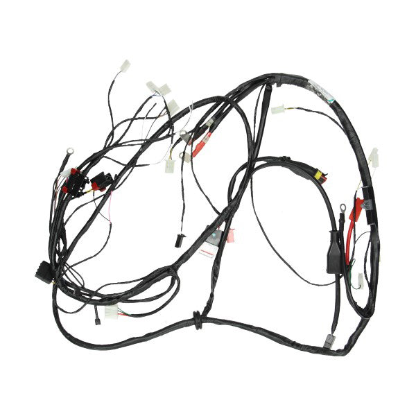 Piaggio Originele Kabelboom Euro 2 2V Zip 4T 2006-2016